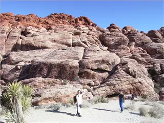 small_112099 comdexAUT_2105.webp